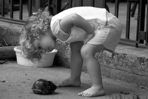 Curious girl looking at a turtle.