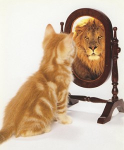 Kitten seeing a lion in his reflection